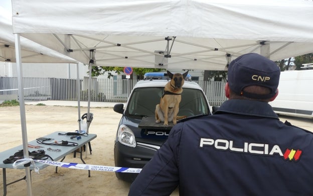 Despliegue de Policía Nacional en Gandia que presenta sus equipos para